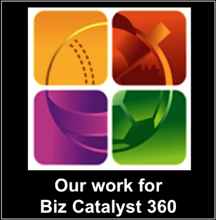 Articles, BizCatalyst 360